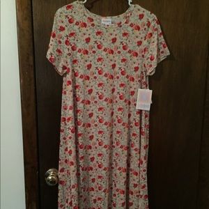 Gorgeous floral Carly BNWT size small